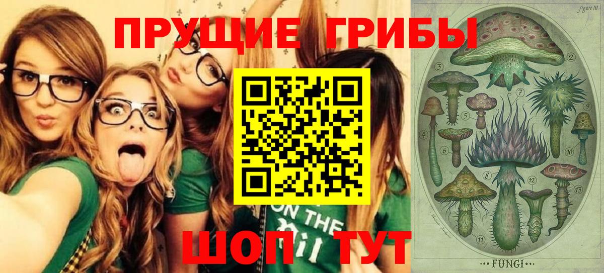 Псилоцибиновые грибы мицелий  Вход с VPN  Красноармейск  Галлюциногенные грибы Psilocybe 